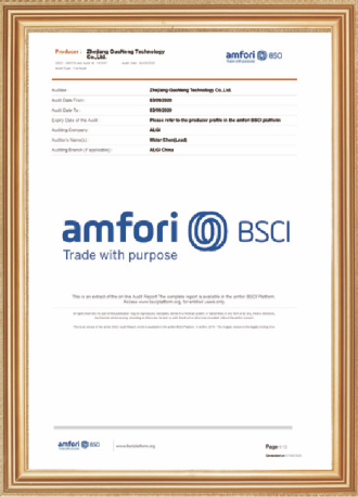 amfori BSCI revisionsrapport